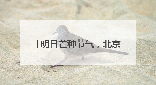 明日芒种节气，北京最高气温达36℃