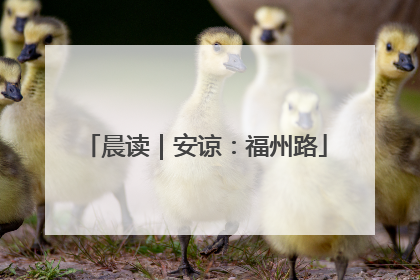 晨读｜安谅：福州路