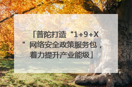 普陀打造“1+9+X”网络安全政策服务包，着力提升产业能级