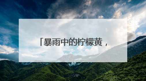 暴雨中的柠檬黄，湖北应城交警全力疏堵保畅护平安