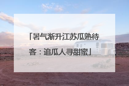 暑气渐升江苏瓜熟待客：追瓜人寻甜蜜
