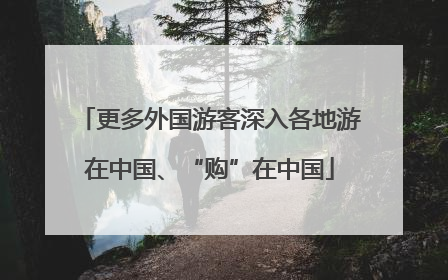 更多外国游客深入各地游在中国、“购”在中国