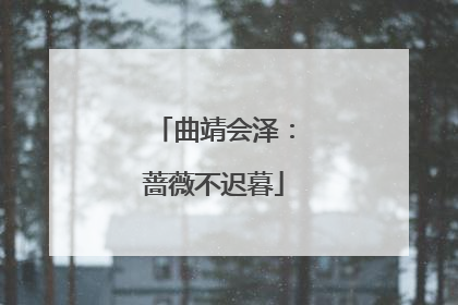 曲靖会泽：蔷薇不迟暮
