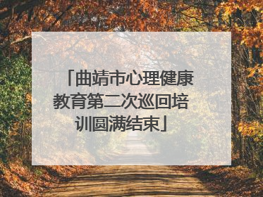 曲靖市心理健康教育第二次巡回培训圆满结束