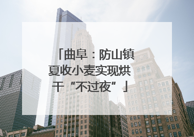 曲阜：防山镇夏收小麦实现烘干“不过夜”