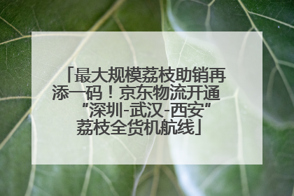 最大规模荔枝助销再添一码！京东物流开通“深圳-武汉-西安” 荔枝全货机航线