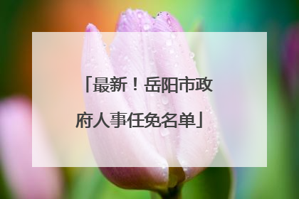 最新！岳阳市政府人事任免名单
