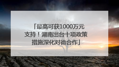 最高可获1000万元支持！湖南出台十项政策措施深化对德合作