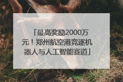 最高奖励2000万元！郑州航空港竞逐机器人与人工智能赛道