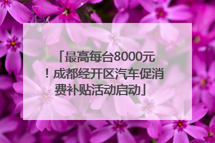 最高每台8000元！成都经开区汽车促消费补贴活动启动