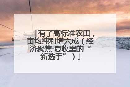 有了高标准农田，亩均纯利增六成（经济聚焦·夏收里的“新选手”）