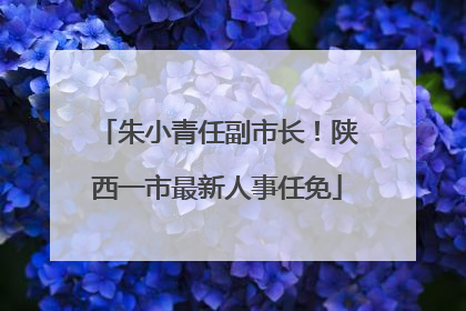 朱小青任副市长！陕西一市最新人事任免