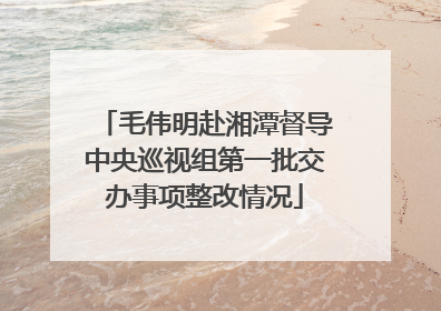 毛伟明赴湘潭督导中央巡视组第一批交办事项整改情况