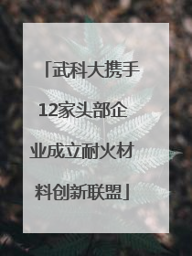 武科大携手12家头部企业成立耐火材料创新联盟