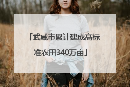武威市累计建成高标准农田340万亩