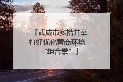武威市多措并举打好优化营商环境“组合拳”