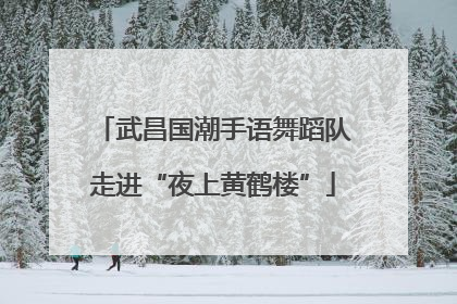 武昌国潮手语舞蹈队走进“夜上黄鹤楼”