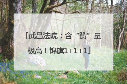 武昌法院：含“赞”量极高！锦旗1+1+1