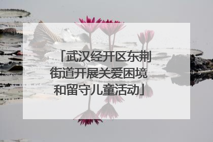 武汉经开区东荆街道开展关爱困境和留守儿童活动