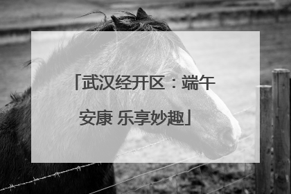 武汉经开区：端午安康 乐享妙趣