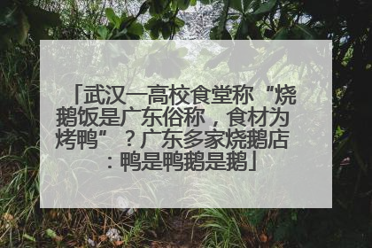 武汉一高校食堂称“烧鹅饭是广东俗称，食材为烤鸭”？广东多家烧鹅店：鸭是鸭鹅是鹅