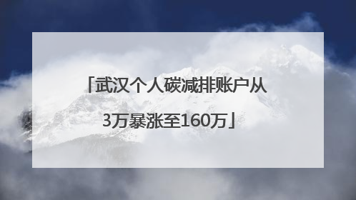 武汉个人碳减排账户从3万暴涨至160万