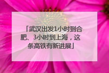 武汉出发1小时到合肥、3小时到上海，这条高铁有新进展