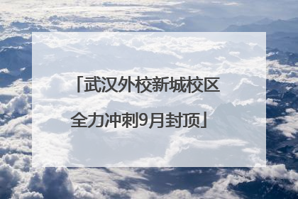 武汉外校新城校区全力冲刺9月封顶