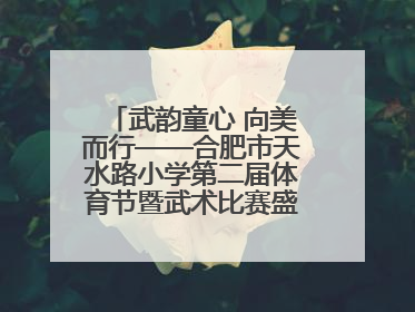 武韵童心 向美而行——合肥市天水路小学第二届体育节暨武术比赛盛大开幕