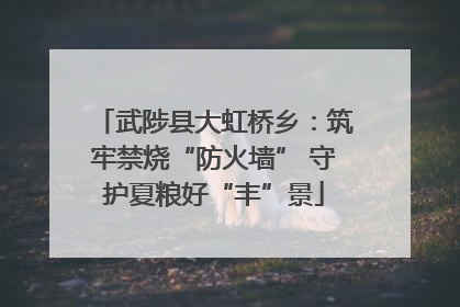 武陟县大虹桥乡：筑牢禁烧“防火墙” 守护夏粮好“丰”景
