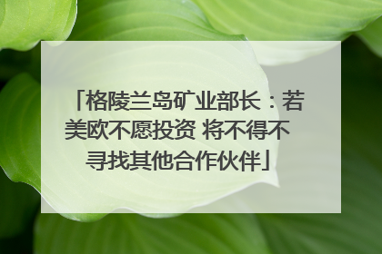 格陵兰岛矿业部长：若美欧不愿投资 将不得不寻找其他合作伙伴