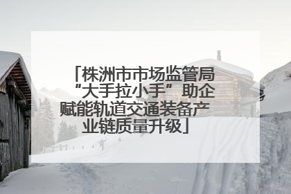 株洲市市场监管局“大手拉小手”助企赋能轨道交通装备产业链质量升级