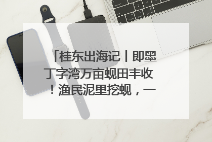 桂东出海记丨即墨丁字湾万亩蚬田丰收！渔民泥里挖蚬，一天上岸过千斤