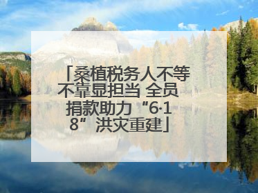 桑植税务人不等不靠显担当 全员捐款助力“6·18”洪灾重建