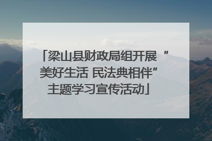 梁山县财政局组开展“美好生活 民法典相伴”主题学习宣传活动
