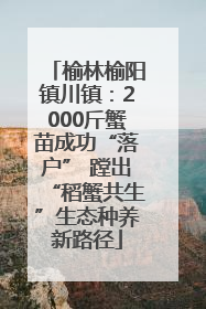 榆林榆阳镇川镇：2000斤蟹苗成功“落户” 蹚出“稻蟹共生”生态种养新路径