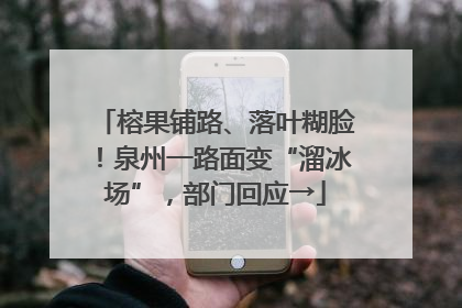 榕果铺路、落叶糊脸！泉州一路面变“溜冰场”，部门回应→