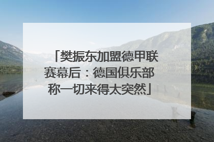 樊振东加盟德甲联赛幕后：德国俱乐部称一切来得太突然