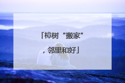 樟树“搬家”，邻里和好
