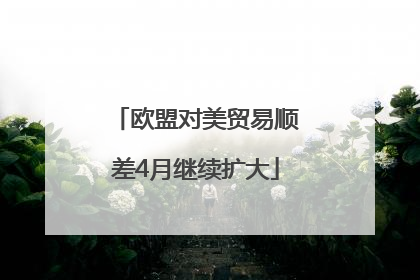 欧盟对美贸易顺差4月继续扩大