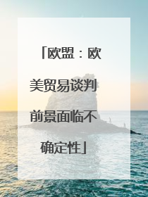 欧盟：欧美贸易谈判前景面临不确定性