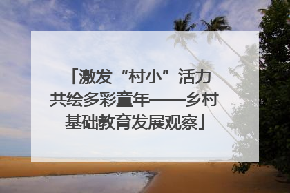 激发“村小”活力 共绘多彩童年——乡村基础教育发展观察