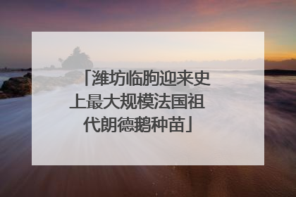 潍坊临朐迎来史上最大规模法国祖代朗德鹅种苗