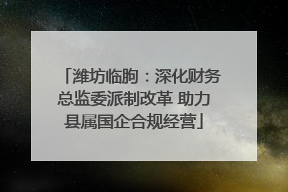 潍坊临朐：深化财务总监委派制改革 助力县属国企合规经营
