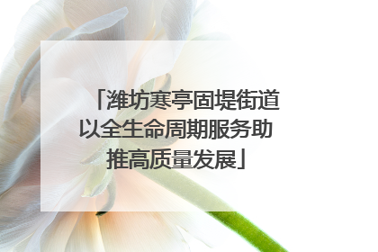 潍坊寒亭固堤街道以全生命周期服务助推高质量发展