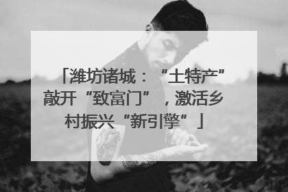 潍坊诸城：“土特产”敲开“致富门”，激活乡村振兴“新引擎”