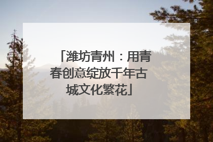 潍坊青州：用青春创意绽放千年古城文化繁花