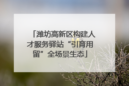 潍坊高新区构建人才服务驿站“引育用留”全场景生态