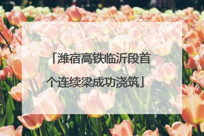 潍宿高铁临沂段首个连续梁成功浇筑