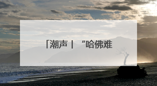 潮声丨“哈佛难民”何去何从？